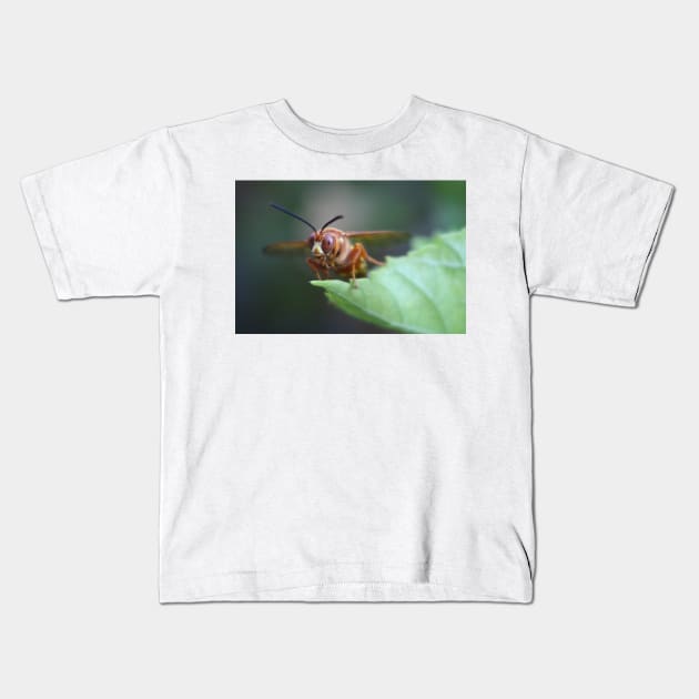 Closeup of a Cicada Killer Kids T-Shirt by ButterflyInTheAttic